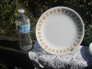 Vintage Corelle Salad Or Lunch Plates Golden Butterfly Set Of 6
