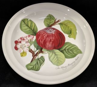 Portmeirion Pomona Hoary Morning Apple China Salad Soup Plate Made In Britain