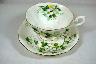 Royal Albert Footed Tea Cup And Saucer White Dogwood Solid Gold Trim Vintage