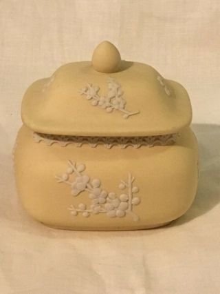 Wedgwood Yellow & White Jasperware Rectangular Covered Jar Prunus Blossom