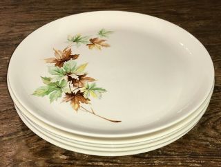 Vintage Salem Maple Leaf Set Of 5 Luncheon Plates 9 - 1/8 " Vguc Fall Thanksgiving