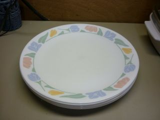 Corelle Friendship Set Of 7 Dinner Plates 10 - 1/4 "