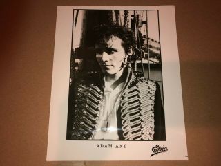 Adam Ant Rare Promo Adam And The Ants Official Photo 8 " X 10 " Epic Records