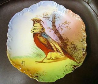 Lovely Limoges Coronet Hand Painted Game Bird Plate W/ Golden Pheasant Sgd Max