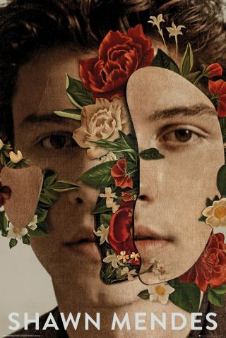 Shawn Mendes Poster - Flowers - Shawn Mendes Music Poster Lp2122