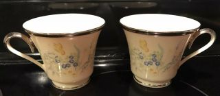 Vtg Cinderella China Lenox 2 Cups Replacements Butterfly Florals Platinum Trim