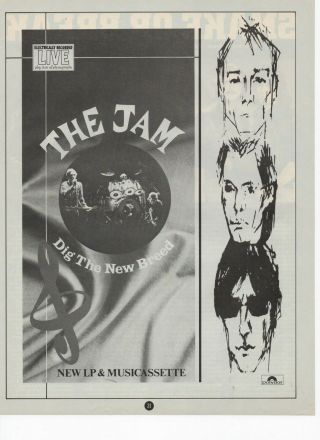 The Jam - Dig The Breed - A4 Poster Advert 1980s