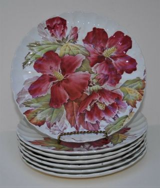 Set Of 7 Antique 1888 Brown Westhead Moore Red Hibiscus 8 1/4 " Plates,  3 Designs