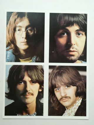 The Beatles Large 