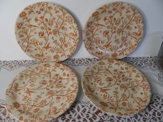 (4) Laura Ashley Dinner Plates 10 " Oriental Garden 1970s By Johnson Brothers