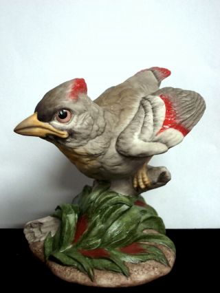 Boehm Fine Porcelain Baby Cardinal Bird 400 - 57 Figurine