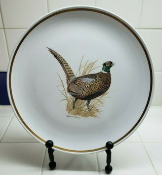 Centura By Corning Game Birds Ringneck Pheasant 10 1/8 " Dinner Plate Ex.  Co.