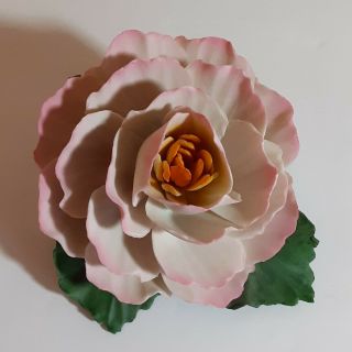 Vintage Fabar Capodimonte Porcelain Pink Peony Rose Made In Italy - Gorgeous