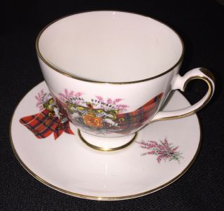 Royal Grafton Royal Stewart Scottish Tartan Tea Cup & Saucer Bone China