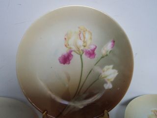 RS Germany Pink White Floral Porcelain Plates Set of 4 Hand Painted 2