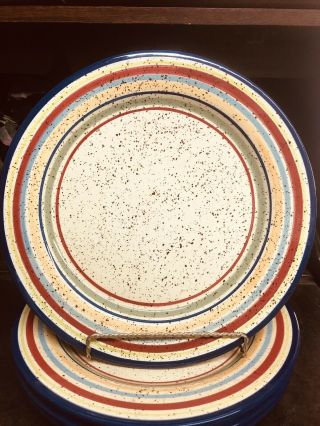 Pfaltzgraff Sedona Hand Painted Dinner Plates Set Of 4