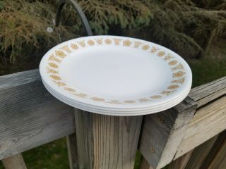 4 Vintage Corelle Butterfly Gold Luncheon Plates 8.  5 Inch Diameter