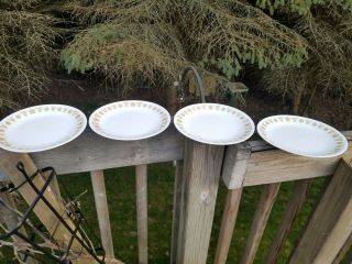 4 VINTAGE CORELLE BUTTERFLY GOLD LUNCHEON PLATES 8.  5 INCH DIAMETER 3