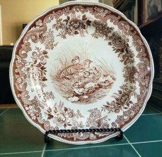 Rare Vintage Copeland Spode England Brown No.  19 Grouse & Chicks Plate