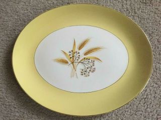 Vintage Century Service Autumn Gold Large Oval Serving Platter 13 1/2 "