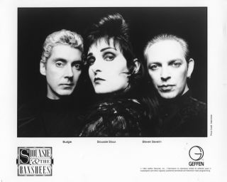 8x10 Press Photo Siouxsie And The Banshees