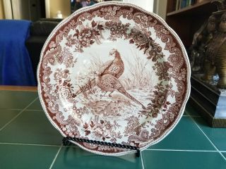 Rare Vintage Copeland Spode England Brown No.  6 Pheasant Bird Plate