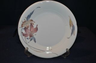 Anatole,  Fine Porcelain China,  Japan One 9 Inch Salad / Dinner Plate