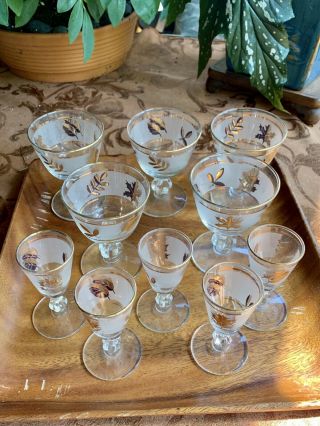 Vintage - 1950s Gold Overlay Wine and Cordial Glassware 3