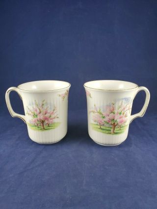 2 Royal Albert Blossom Time Tea Cup 24 Made In England Bone China