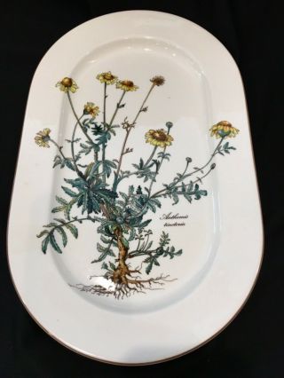 Villeroy & Boch Botanica Anthemis Tinctoria13 " Oval Serving Platter Plate