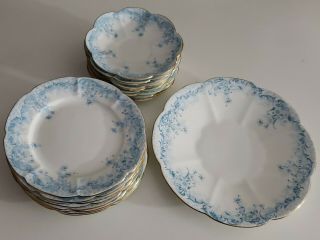 The Foley China England,  18 Piece Porcelain Flow Blue Plates Scalloped,  Antique
