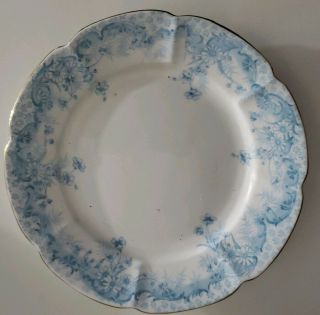 The Foley China England,  18 piece porcelain flow blue Plates Scalloped,  antique 5