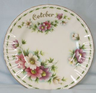 Royal Albert Flower Of The Month October Cosmos Bread Or Dessert Plate