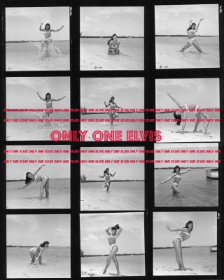 1954 Bettie Page 8x10 Photo Contact Sheet " Queen Of Pin - Ups " Bikini Beach Shoot