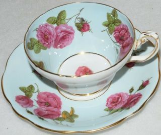 Foley " Eb 1850 " Blue & Roses Teacup And Saucer And Wall Display