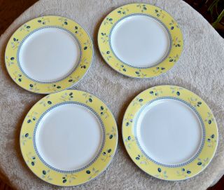 Royal Doulton Blueberry Design 7 5/8 " Salad Plates - Set Of 4
