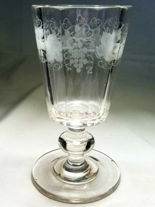 Early Panel Cut Copper Wheel Engraved Water Glass With Grapes & Leaves 3