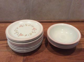 Chantilly Fleur De Bois Stoneware Made In Japan 5 Cereal Bowls 11 Salad Plates