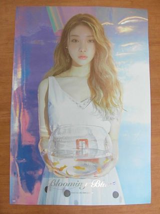 Chung Ha - Blooming Blue [official] Poster K - Pop Ioi Chungha