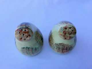 Vintage Vernonware Raffia Hand Painted Salt and Pepper Shapers - 3