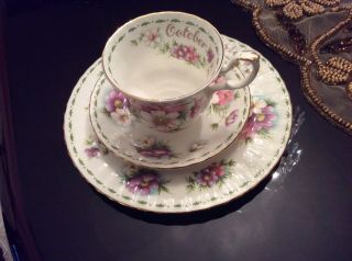 Royal Albert Flower Of The Month Series October Tea Cup Plate Trio Set Cosmos