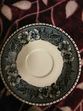 Usa Blue And White Floral Cup Saucers (5)