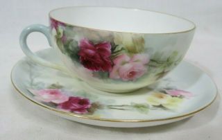 Antique W.  C.  & Co Limoges France Porcelain Hand Painted Cup And Saucer