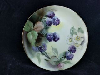 Antique Haviland France Hand Painted And Signed Blackberries Plate 6 " Lovely