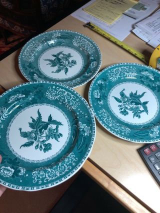 Spode Green Camilla Plates Set Of 3 Floral Copeland England China " 9 " Old Mark
