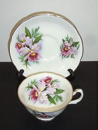 Royal Grafton England Fine Bone China Orchids Tea Cup And Saucer