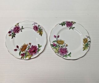Royal Albert Flower Of Month Series Bone China England Chrysanthemum 8 " Plates