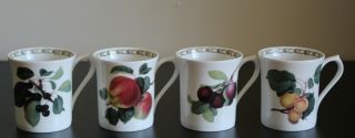 4 Rosina Queen’s Bone China Hookers Fruit Royal Horticultural Society Mugs /cups