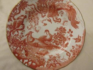 ROYAL CROWN DERBY ENGLISH BONE CHINA - RED AVES - BIRDS AND FLOWERS - SALAD PLATE 2