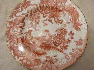 ROYAL CROWN DERBY ENGLISH BONE CHINA - RED AVES - BIRDS AND FLOWERS - SALAD PLATE 3
